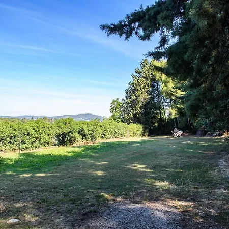 In With Wifi * Pesaro