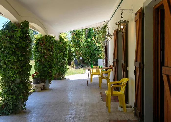 In With Wifi * Pesaro